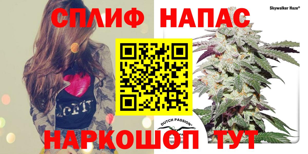 Конопля ГИДРОПОН Тельмана